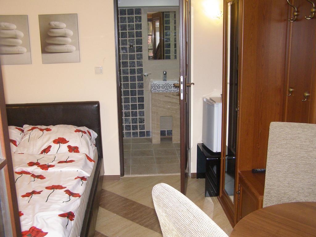 Hotel Willa Solina Solina  Pokoj fotografie
